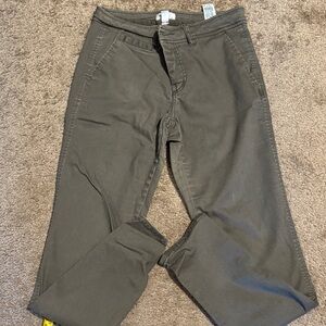 Market & Spruce Dark Olive Chinos